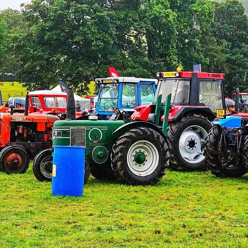 eggleston-show-2025-photo-057